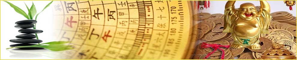 feng-shui-vastu-in-udaipur1 earth-engery-vaastu-sastra-in-udaipur1